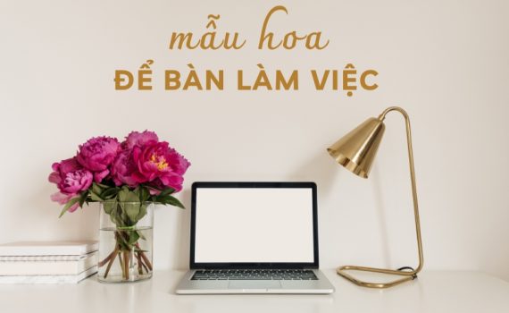 hoa để bàn làm việc