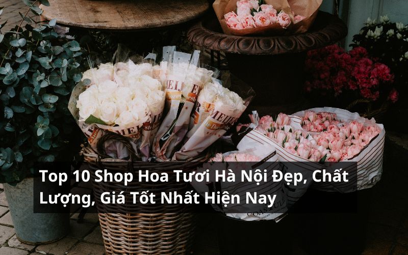 shop hoa tươi hà nội